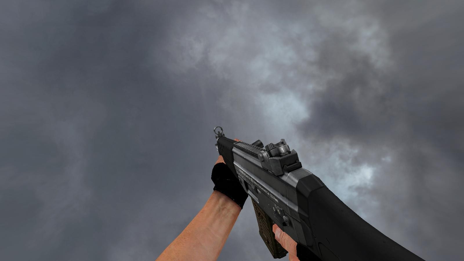 SG552 On Makse's Animations