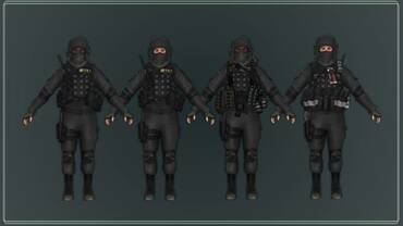 Special forces skin "SWAT"