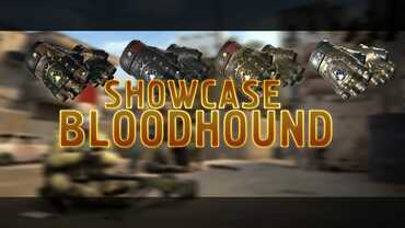 Showcase | Bloodhound Gloves + Butterfly [АНОНС]