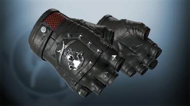 Cs go mod Css Перчатки «Бладхаунд» | Зола