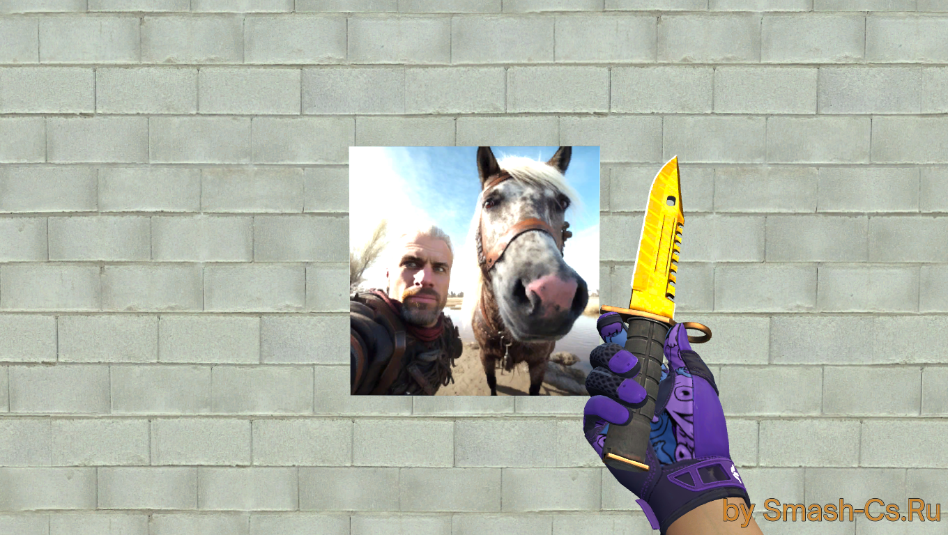 Witcher and his horse spray