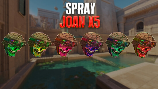 Spray Joan X5 For CSS93+ Spray Joan X5 For CSS93+